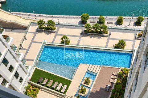 Квартира с 1 спальней в Shams Abu Dhabi, ОАЭ №214117 11