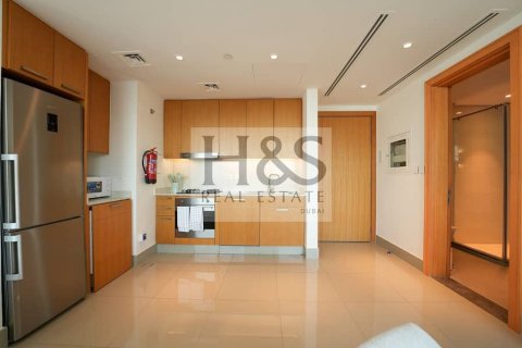 Apartment de 1 dormitorio en Downtown Dubai (Downtown Burj Dubai), UAE No. 112639 12