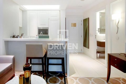 Studio Apartment in Downtown Dubai (Downtown Burj Dubai), UAE No. 212685 8