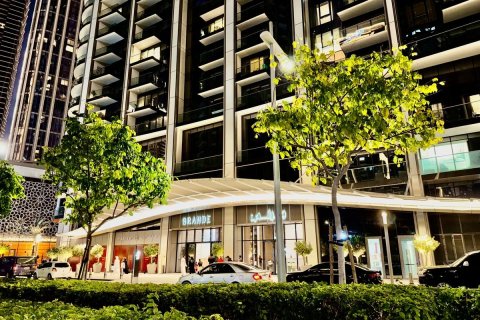 Appartement de 1 chambre à Downtown Dubai (Downtown Burj Dubai), UAE No. 221894 13