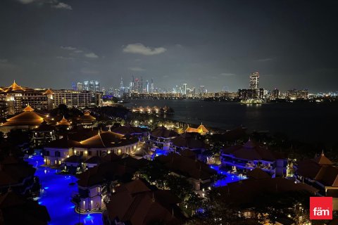 49.4m² Apartment in Palm Jumeirah, UAE No. 216275 3