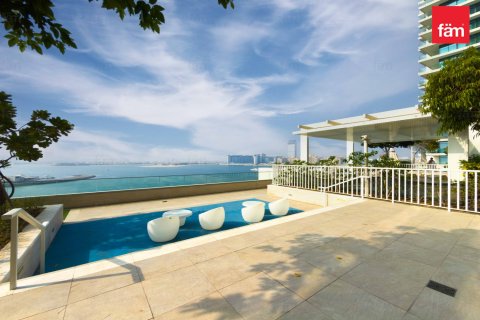 Apartment de 2 dormitorios en Dubai Harbour, UAE No. 219177 13