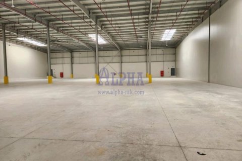 500m² Warehouse in Ras Al Khaimah, UAE No. 157656