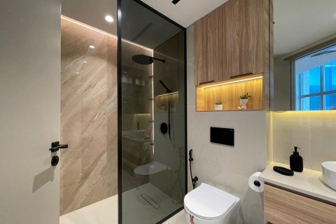 Studio Apartment in DIFC, UAE No. 154198
