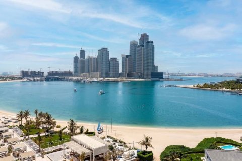 1 غرف نوم شقة في نخلة جميرا, الإمارات العربية المتحدة رقم 208596 15