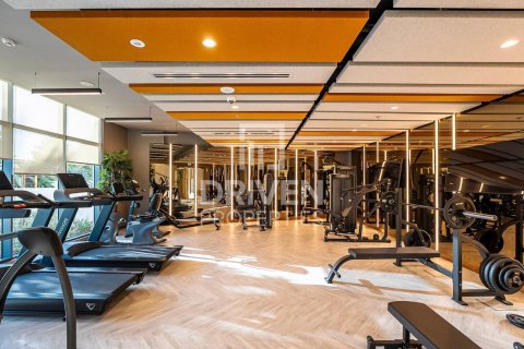 Appartement de 2 chambres à DAMAC Hills (Akoya by DAMAC), UAE No. 217992 27