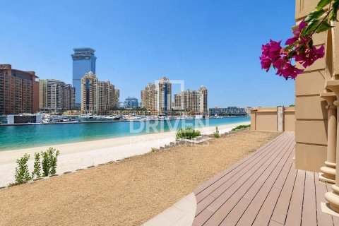 5 غرفة نوم فيلا في نخلة جميرا, الإمارات العربية المتحدة رقم 215108 22