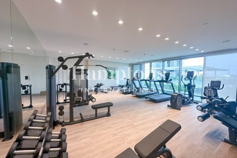 2 bedrooms Apartment in Mina Rashid, UAE No. 213271 31