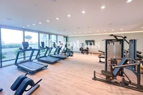 2 bedrooms Apartment in Mina Rashid, UAE No. 213271 16