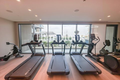 2 bedrooms Apartment in Mina Rashid, UAE No. 213271 10