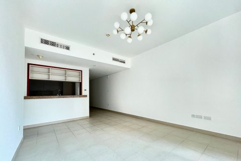 Apartment de 1 dormitorio en Downtown Dubai (Downtown Burj Dubai), UAE No. 223507 7