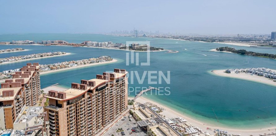استوديو شقة في The Palm Tower, الإمارات العربية المتحدة رقم 202825