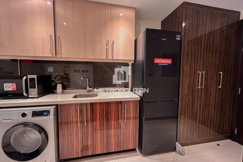Appartement de 40m² à Downtown Dubai (Downtown Burj Dubai), UAE No. 128649 11