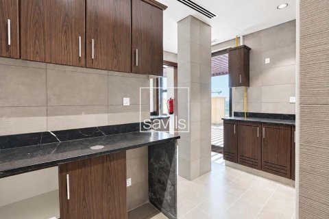 3 bedrooms Apartment on the Saadiyat Island, UAE No. 211137 13