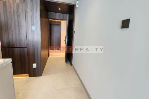 Appartement de 1 chambre à District 10, UAE No. 217316 31