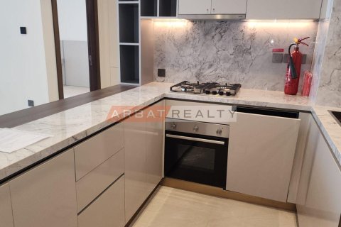 Appartement de 1 chambre à District 10, UAE No. 217316 10