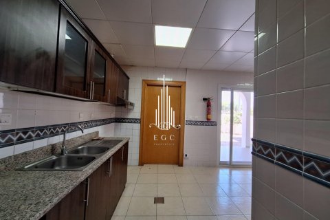Villa de 7 dormitorios en Abu Dhabi, UAE No. 29189 13
