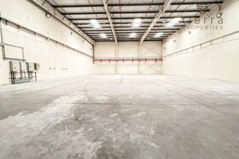 659.6m² Warehouse in Phase 2, UAE No. 47603 3