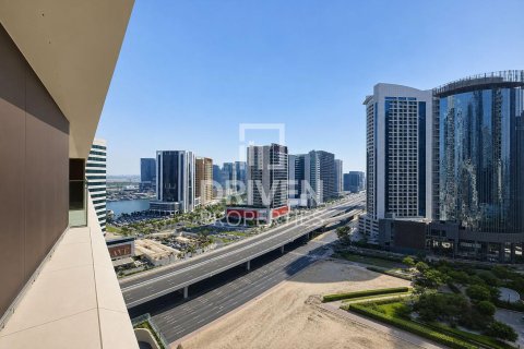 Apartment de 2 dormitorios en Downtown Dubai (Downtown Burj Dubai), UAE No. 223250 22