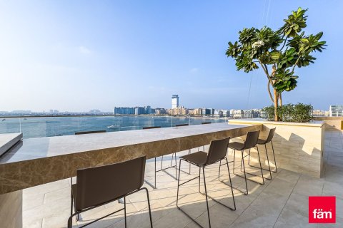 Квартира с 1 спальней в Dubai Harbour, ОАЭ №216632 12