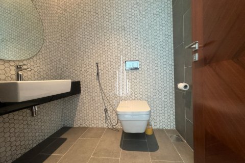 2 bedrooms Apartment in Tourist Club Area, UAE No. 23606 19