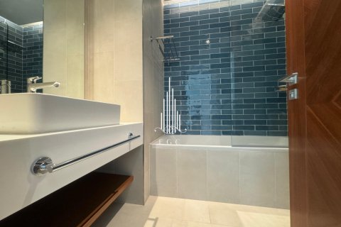 2 bedrooms Apartment in Tourist Club Area, UAE No. 23606 20