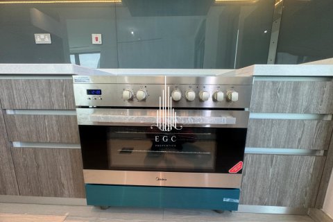 2 bedrooms Apartment in Tourist Club Area, UAE No. 23606 8