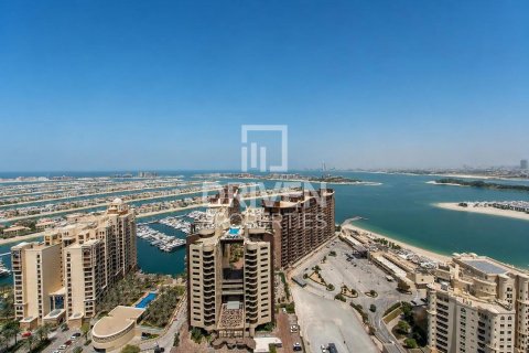 1 bedroom Apartment in The Palm Tower, UAE No. 212168 17