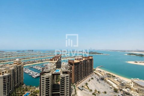 1 bedroom Apartment in The Palm Tower, UAE No. 212168 15