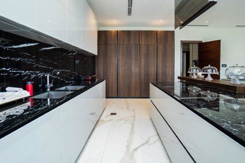 7 bedrooms Villa in Emirates Hills, UAE No. 8609 26
