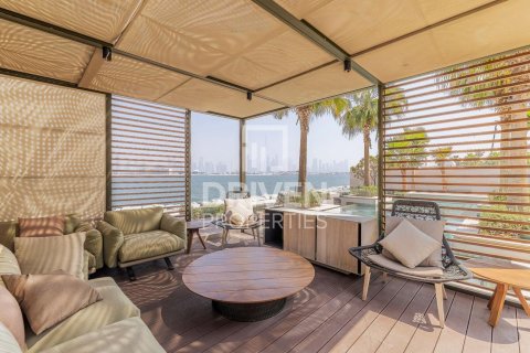 Villa de 5 chambres à Jumeirah Bay Island, UAE No. 217532 29