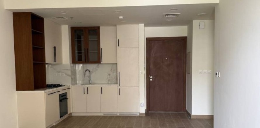 Appartement de 1 chambre à Dubai, UAE No. 162706