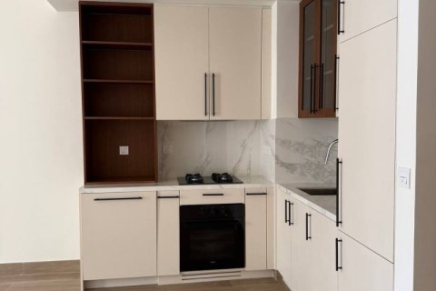 Appartement de 1 chambre à Dubai, UAE No. 162706 15