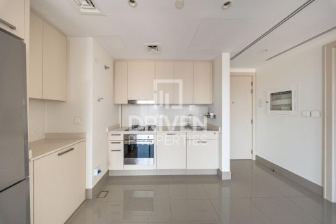 1 bedroom Apartment in Downtown Dubai (Downtown Burj Dubai), UAE No. 217510 10