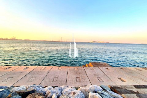 2 bedrooms Apartment in Shams Abu Dhabi, UAE No. 21907