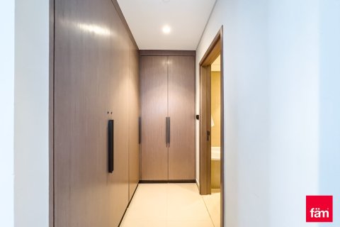 Apartment de 2 dormitorios en Downtown Dubai (Downtown Burj Dubai), UAE No. 223881 13