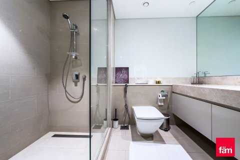 Apartment de 2 dormitorios en Downtown Dubai (Downtown Burj Dubai), UAE No. 223881 14