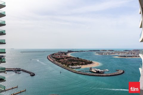 2 bedrooms Apartment in Dubai Harbour, UAE No. 215689 20