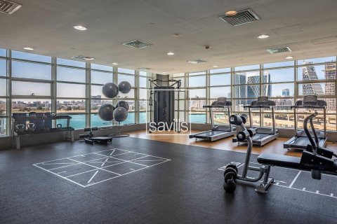 2 bedrooms Apartment in Al Reem Island, UAE No. 211160 8