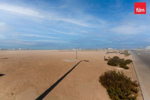 Land de 1138.8m² à Jebel Ali, UAE No. 210942 3