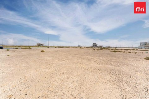 Land de 1138.8m² à Jebel Ali, UAE No. 210942 11