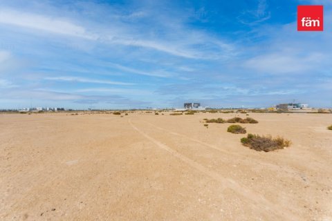 Land de 1138.8m² à Jebel Ali, UAE No. 210942 6