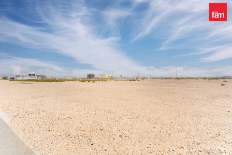 Land de 1138.8m² à Jebel Ali, UAE No. 210942 7