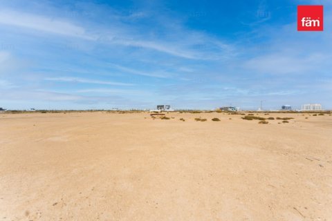 Land de 1138.8m² à Jebel Ali, UAE No. 210942 5