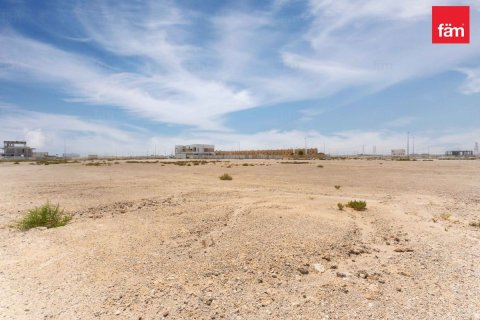 Land de 1138.8m² à Jebel Ali, UAE No. 210942 9