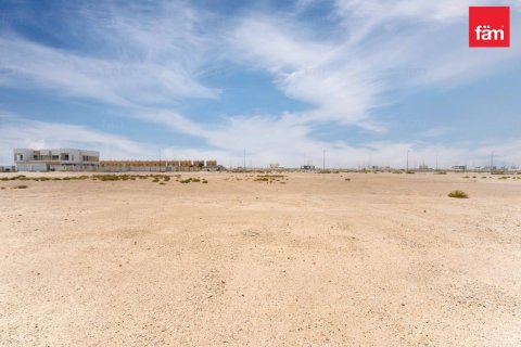 Land de 1138.8m² à Jebel Ali, UAE No. 210942 8