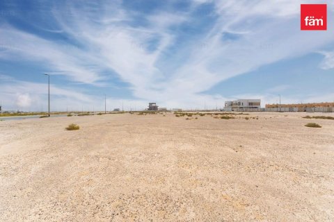 Land de 1138.8m² à Jebel Ali, UAE No. 210942 10
