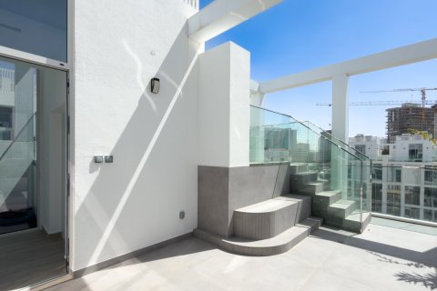 4 bedrooms Townhouse in Wadi Al Safa 3, UAE No. 217129 20