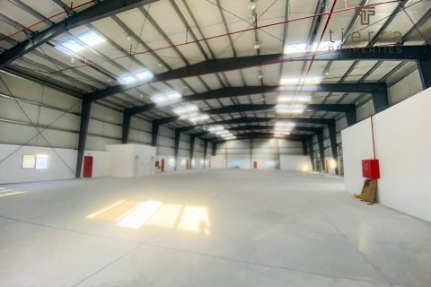 Warehouse de 3065.8m² en Phase 2, UAE No. 47662 4