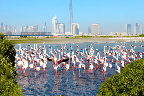 Apartment de 2 dormitorios en Sobha Hartland, UAE No. 9857 5